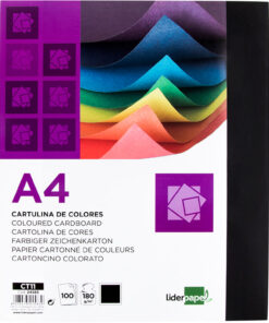 Cartolina A4 LiderPapel C/100 – Preto