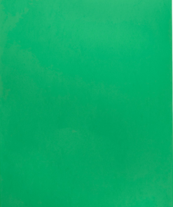 Goma Eva 60×40 – Verde Bandeira